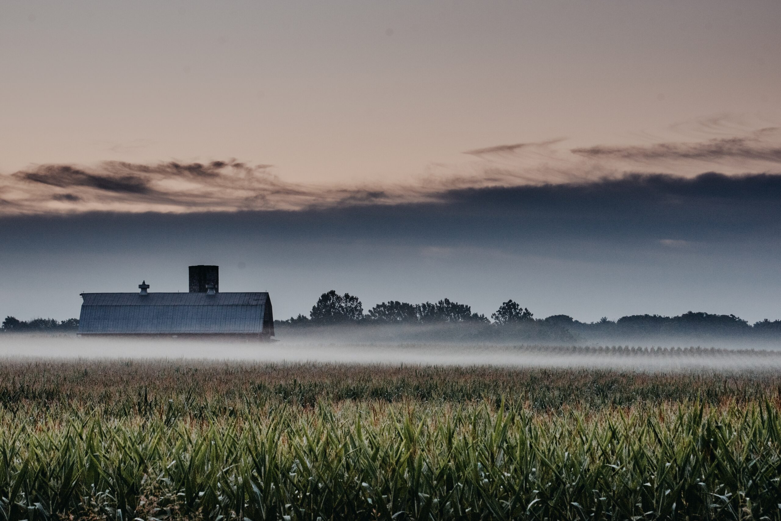 Foggy Midwestern Region